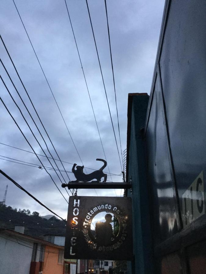 Trotamundo Oaxaca Hostel Экстерьер фото